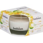 Bolsius Aromatic 2.0 Sticlă lumânare parfumată Mango 1×1 buc, dimensiune 80 x 50 mm