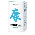 Mycomedica Mycostress 350mg 180cps 1×180 cps