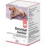 Drontal Junior 1×50 ml, orale suspensie voor honden