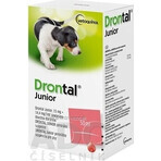 Drontal Junior 1×50 ml, orale suspensie voor honden