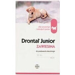 Drontal Junior 1×50 ml, orale suspensie voor honden