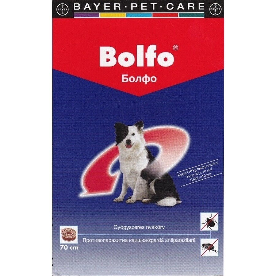 COLLAR BOLLAR 70CM PARA PERROS GRANDES A.U.V.V. 1×1 ud, collar antiparasitario