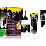 Garnier Olia permanent culoarea parului 3.16 Dark Purple 1×1 set, permanent culoarea parului