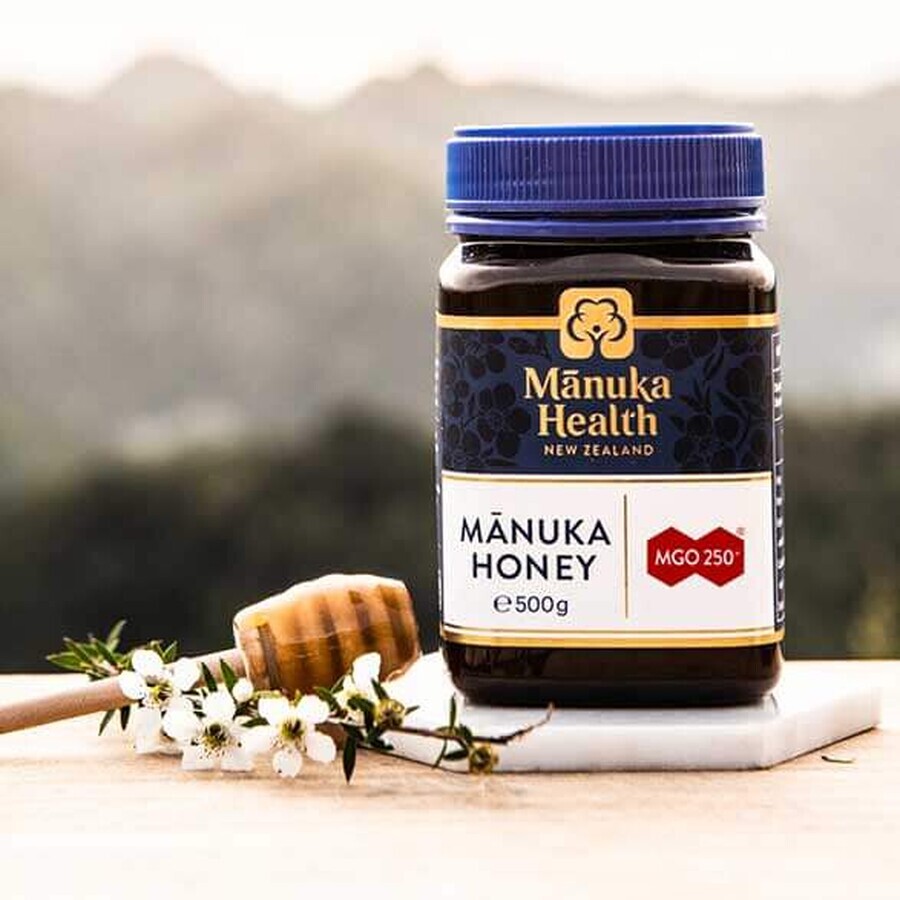 Coffret Manuka Health, Miel de Manuka MGO 250+, 500 g + cuillère en bois gratuite