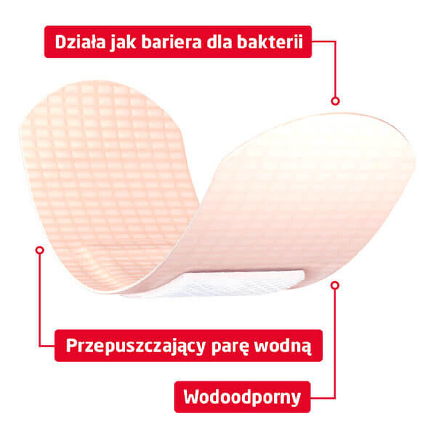 Leukoplast barrièreset, pleisters, 3 maten, 2 x 20 stuks