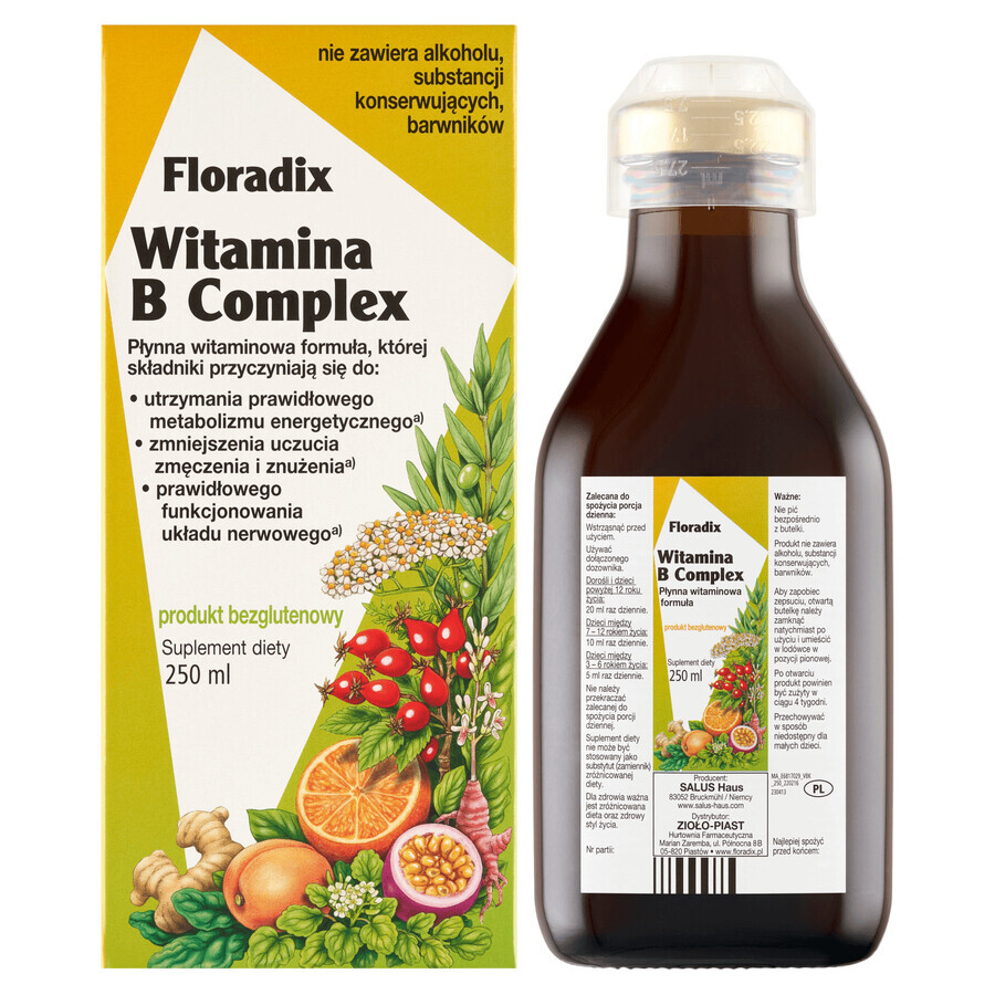 Floradix Vitamin B Complex, 250 ml