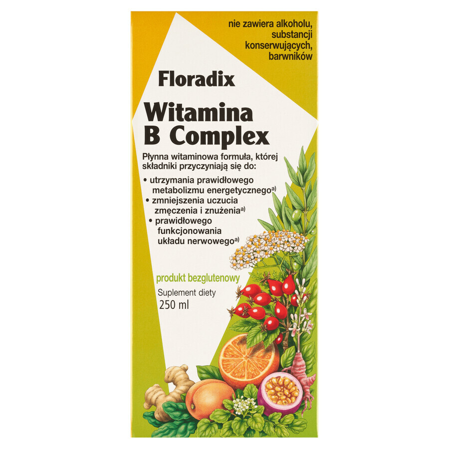 Floradix Vitamin B Complex, 250 ml