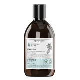Vis Plantis Pharma Care, shampoo for oily hair, mint + zinc, 500 ml