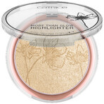 Catrice More Than Glow, poudre illuminatrice, No. 030 Beyond Golden Glow, 5.9 g