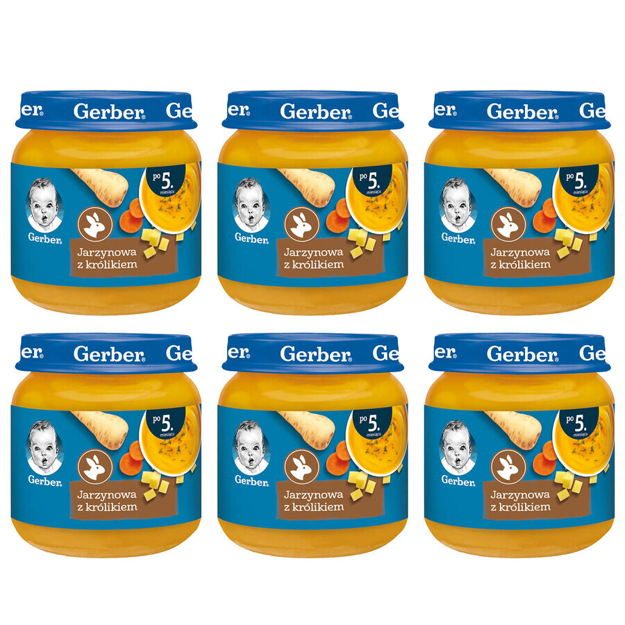 Gerber Soep Set, groentesoep met konijn, na 5 maanden, 6 x 125 g VERPAKT