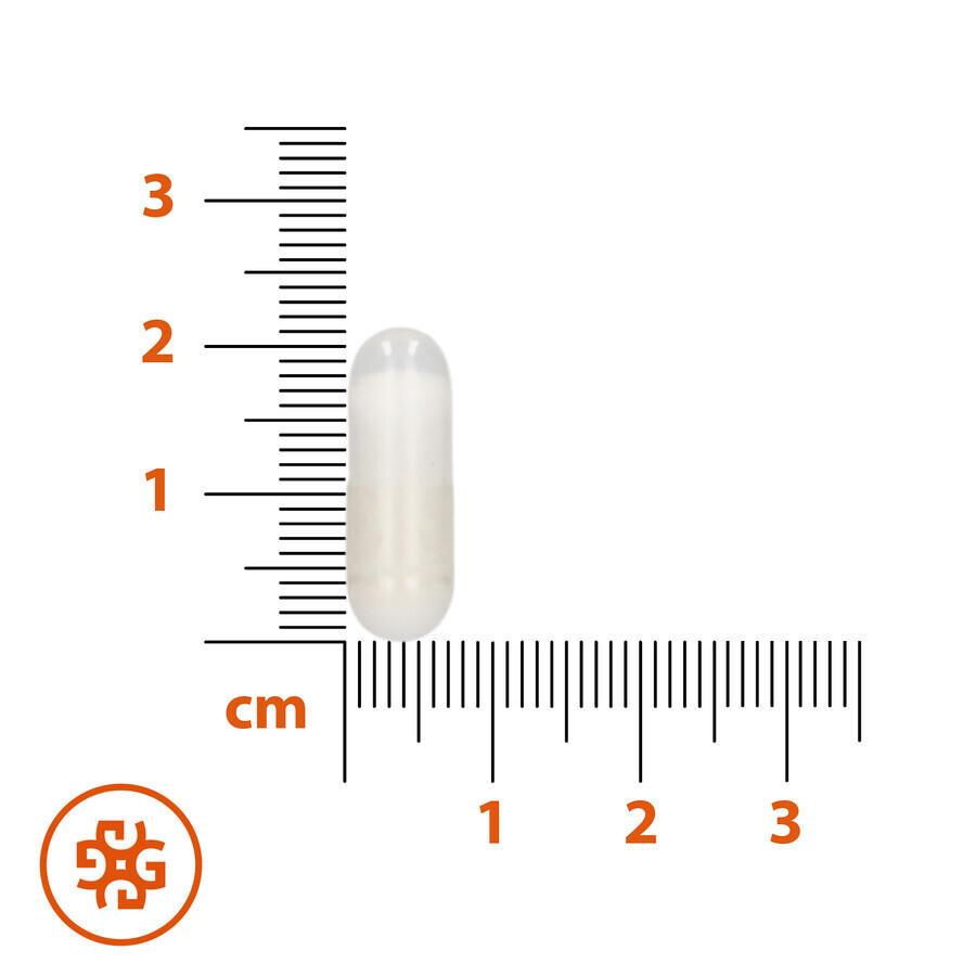 SEMA Lab Potassium, 60 gélules