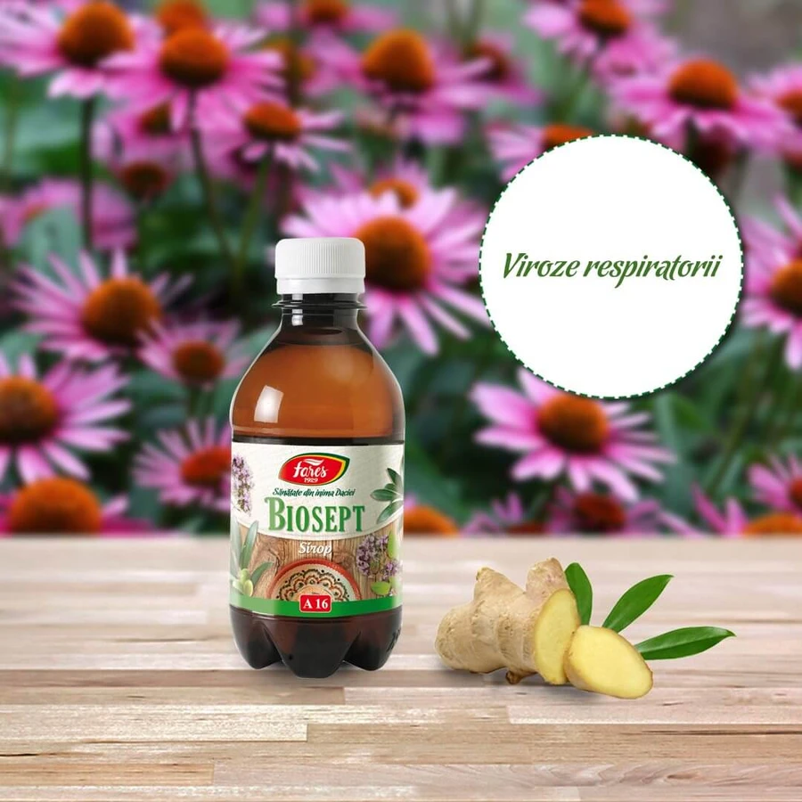 Biosept syrup, A16, 250 ml, Fares