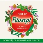 Biosept syrup, A16, 250 ml, Fares