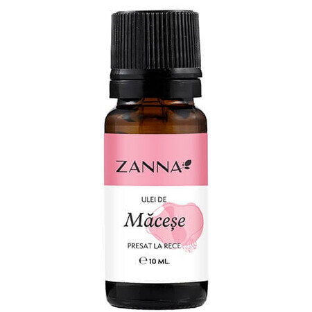 Apricot oil, 10 ml, Zanna