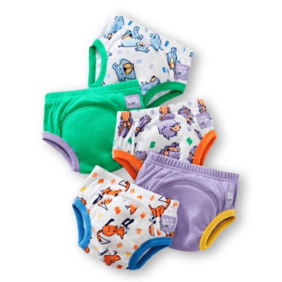 Potty Training Slipjes, 3-4 jaar, Bold, 5 stuks, Bambino Mio