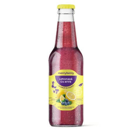 Bosbessenlimonade, 200 ml, MerryBerry