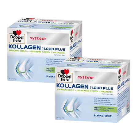 Systeem Doppelherz Kollagen 11000 Plus, 2 x 30 flacons