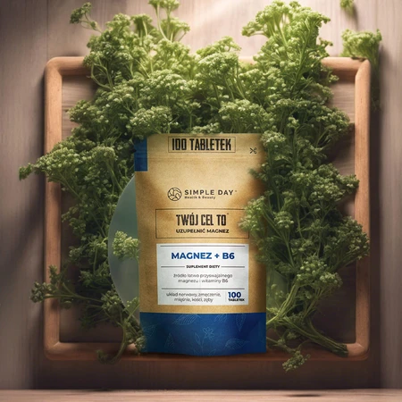 Magnesium + B6, 100 tabletten