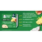 Gerber Bio dessert 100% vegetale alla mela e ananas con latte di cocco pezzo 4 x 90 g