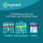 Compeed Plasture kleine blister 6 stuks