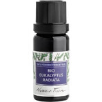 Nobilis Tilia Ulei esențial bio Eucalyptus radiata 5 ml