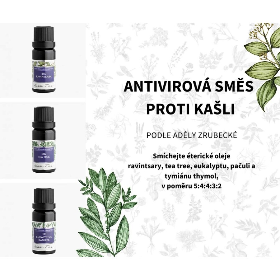 Nobilis Tilia Ulei esențial bio Eucalyptus radiata 5 ml