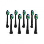 TrueLife SonicBrush Compact Heads Black Cap de înlocuire standard 8 buc