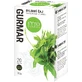 Phytopharma Gurmar herbata, porcjowana 20 x 1,5 g