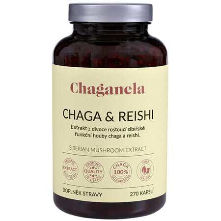 Chaganela Chaga extract met reishi 270 capsules