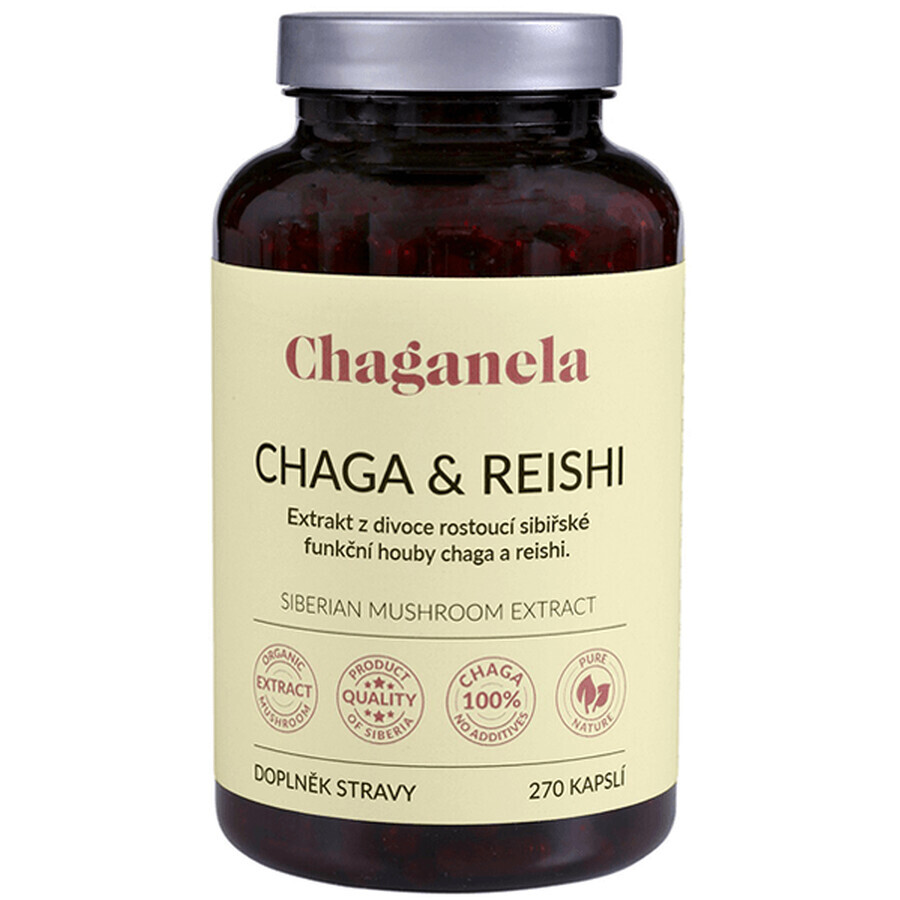 Chaganela Chaga extract met reishi 270 capsules