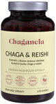 Chaganela Chaga extract met reishi 270 capsules