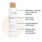 Lobey Shampoo voor normaal en gekleurd haar 200 ml