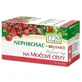 Fyto Pharma Cranberry kruidenthee voor de urinewegen 20 x 1,5 g