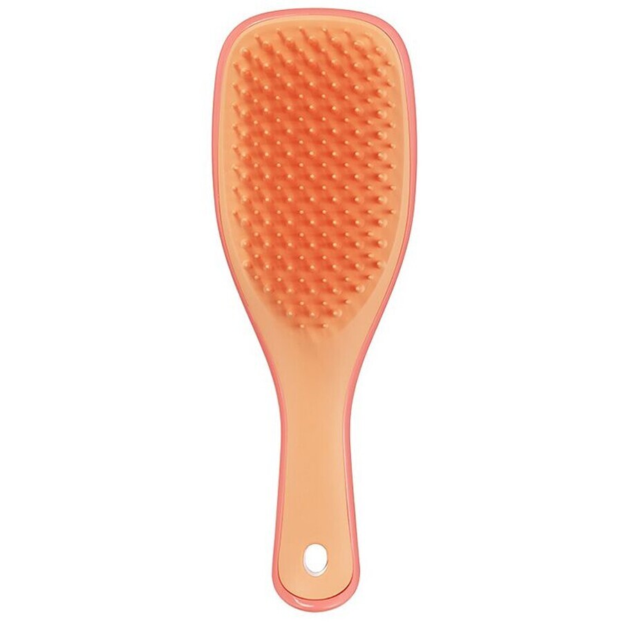 Tangle Teezer The Ultimate Detangler Mini Straight - Curly Salmon Pink Apricot