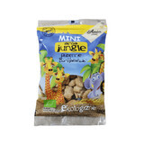 Mini Eco koekjes, 100 gr, Ania