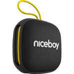 Niceboy RAZE Mini 4