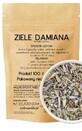 Damiaanplant 50g ZIELARZPOLSKI