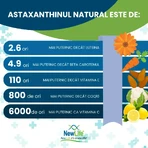 NewLife+ Astaxanthin 8 mg, 60 Weichkapseln