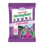 Bauch-Kräuter-Tropfen, 75 g, Herbafield