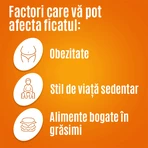 Essentiale Forte, 300 mg, 4 х 50 capsules, Sanofi
