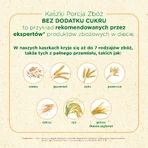 BoboVita 7-granenpap Havervlokken met rijst, framboos-banaan, vanaf 6 maanden, 210 g