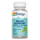 Brain Support, 60 capsules, Secom