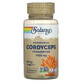 Cordyceps, 60 capsules, Solaray