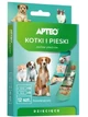 Apteo