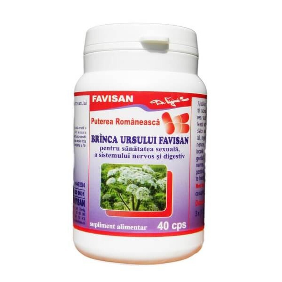 Berendruif, 40 capsules, Favisan