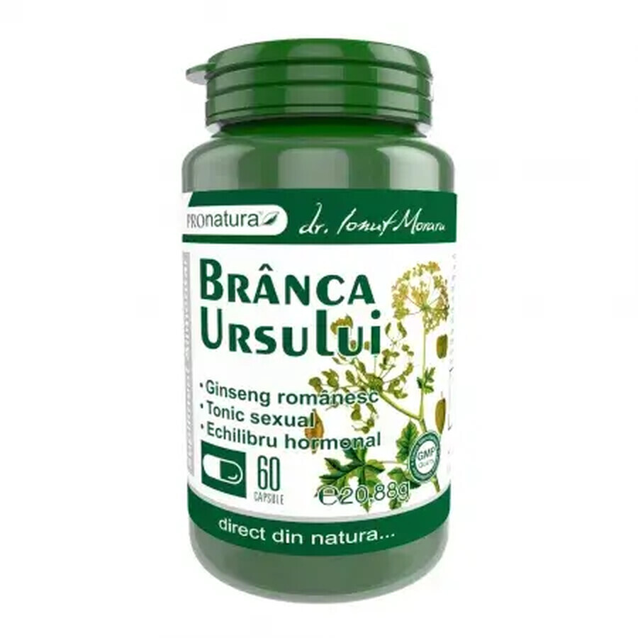 Branca ursului, 60 capsule, Pro Natura