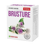 Brusture, 30 capsules, Parapharm