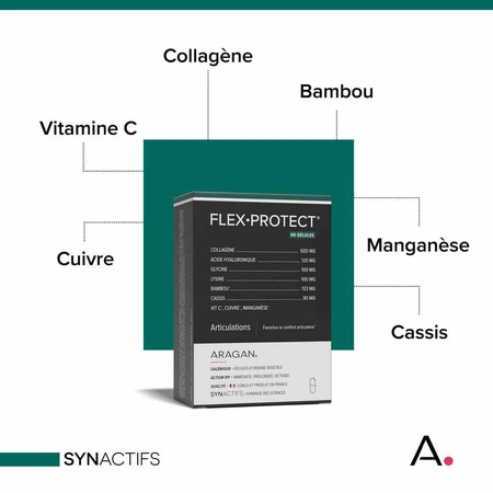Aragan Synactifs FlexProtect Joint 60 Kapseln