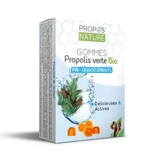 Propos'Nature Green Propolis Gum Trace Elements And Pine Sugar Free 45g