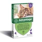 Advantage 80 Antiparasitäre Pipetten für Katzen und Kaninchen, 6 St.